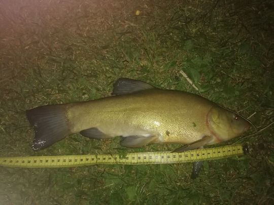 Kalkloch Ferdinandshof ALLE ANGELN