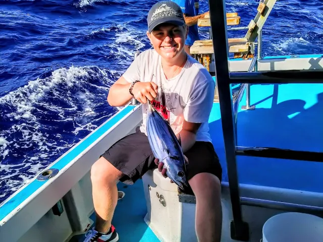 Bonito