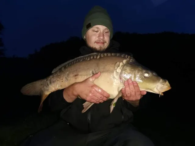 Karpfen