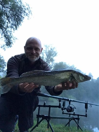 Zander