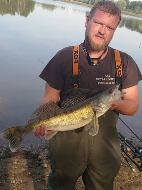 Zander