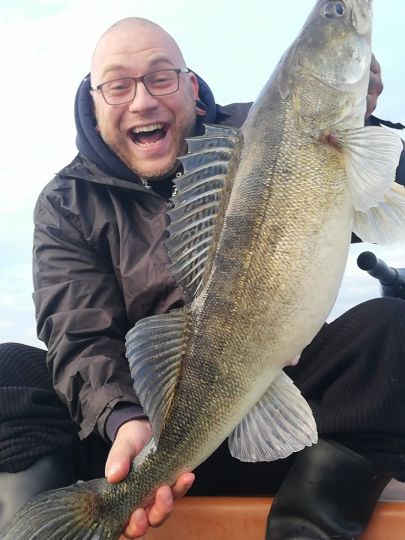 Zander