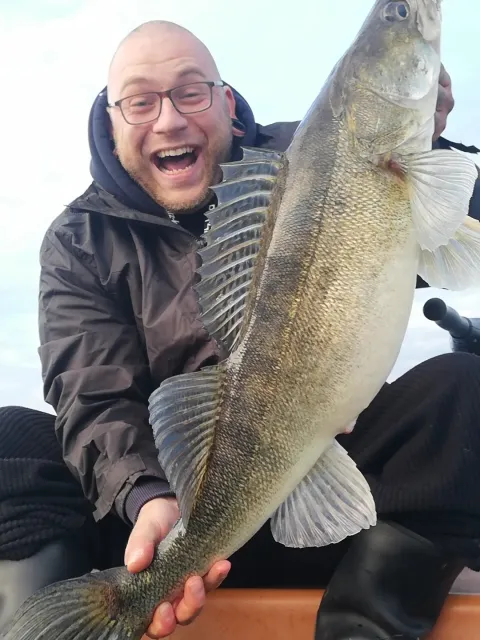 Zander