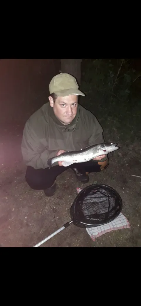 Zander
