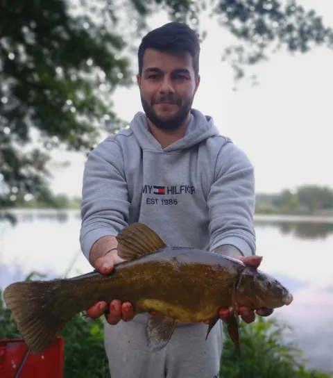 Schleie