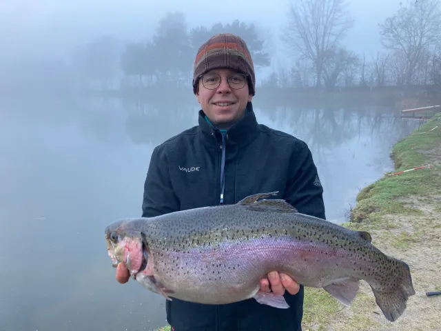 Regenbogenforelle