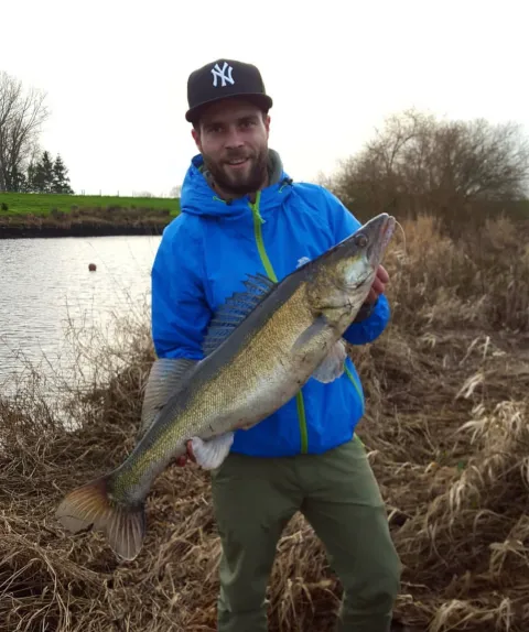 Zander