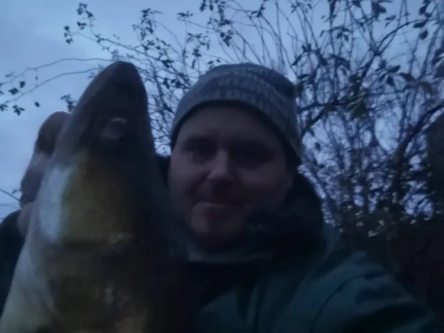 Zander