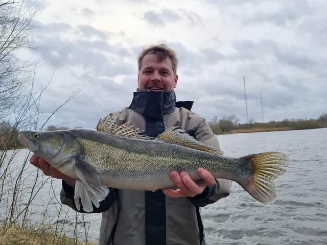 Zander