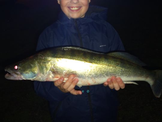 Zander
