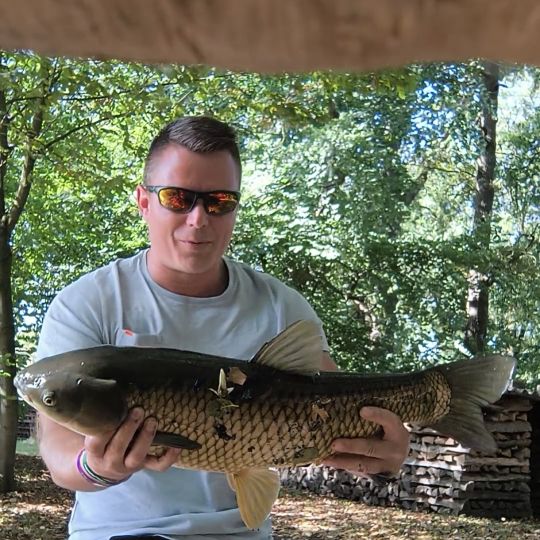Graskarpfen