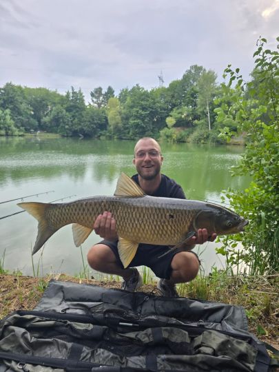 Graskarpfen
