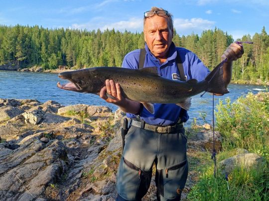 Lachs