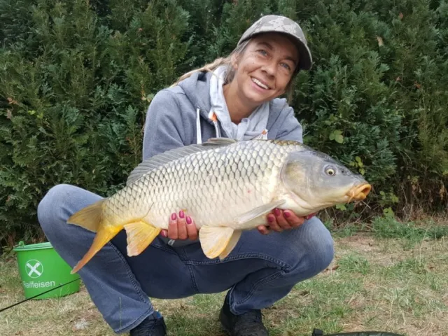 Karpfen