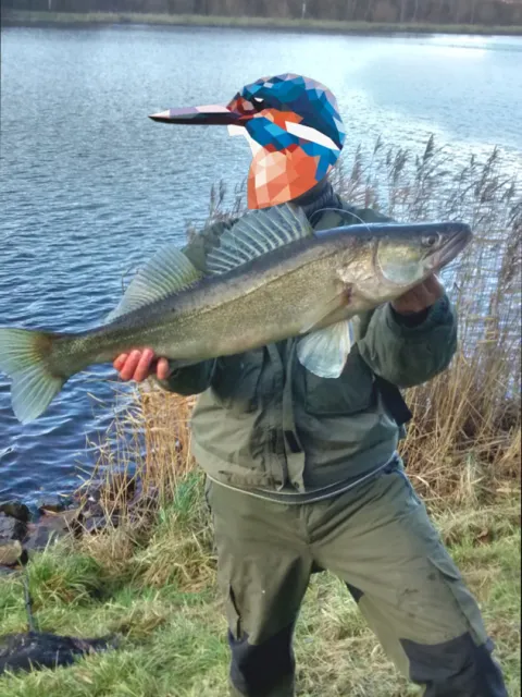 Zander