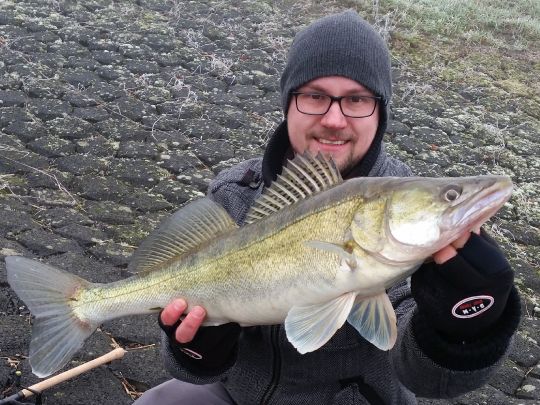 Zander