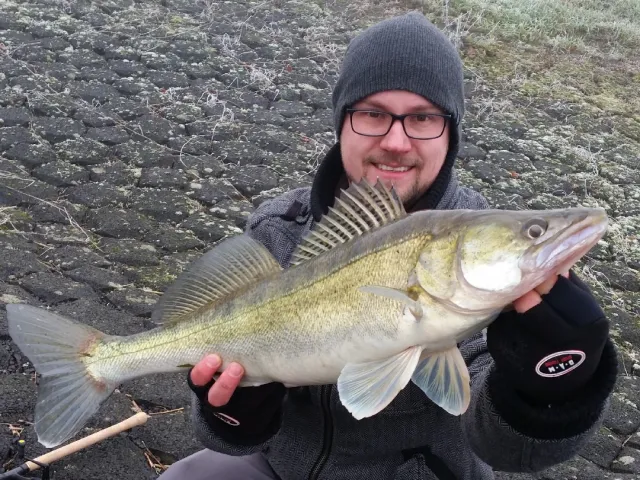 Zander
