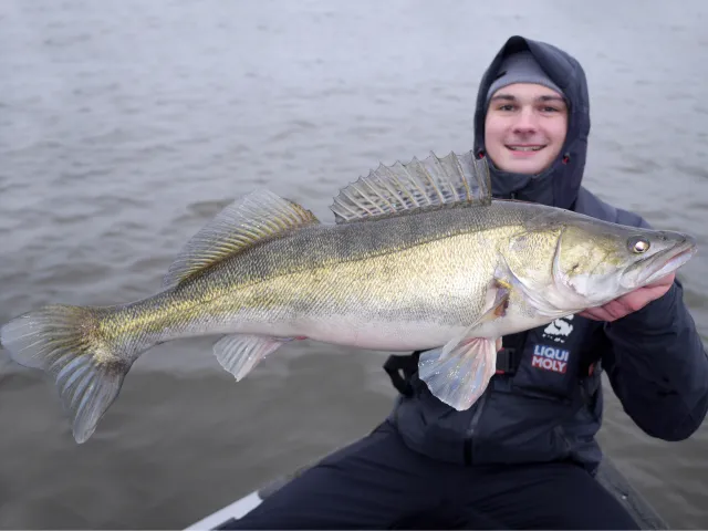 Zander