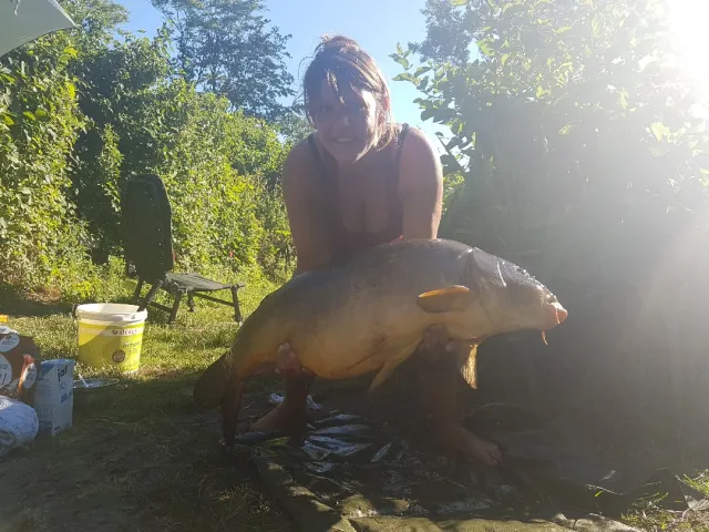 Karpfen