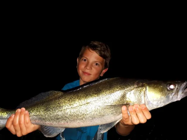 Zander