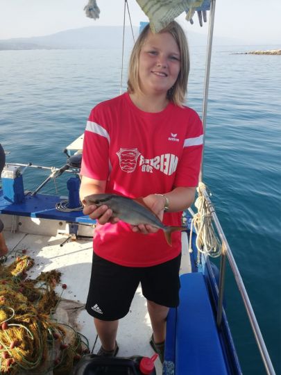 Amberjack