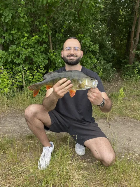 Flussbarsch