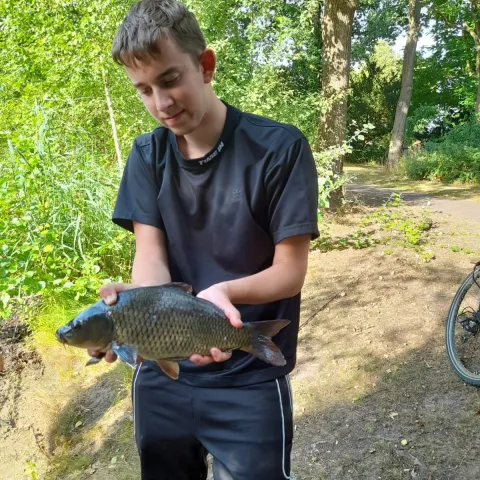 Karpfen