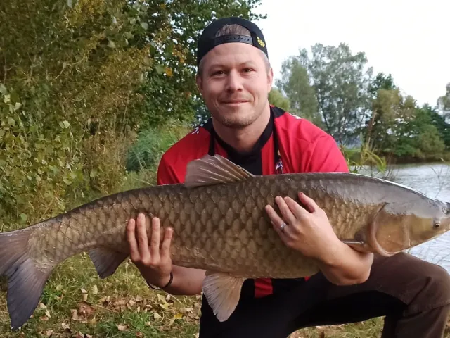 Graskarpfen