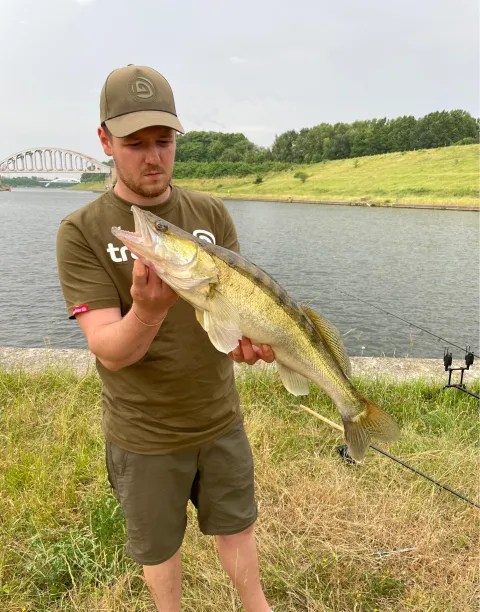 Zander