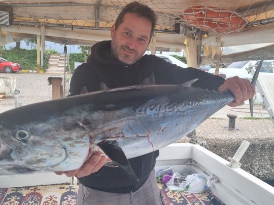 Thunfisch