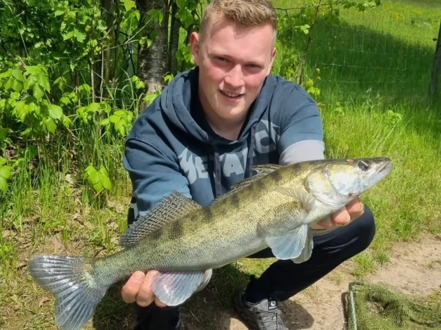 Zander