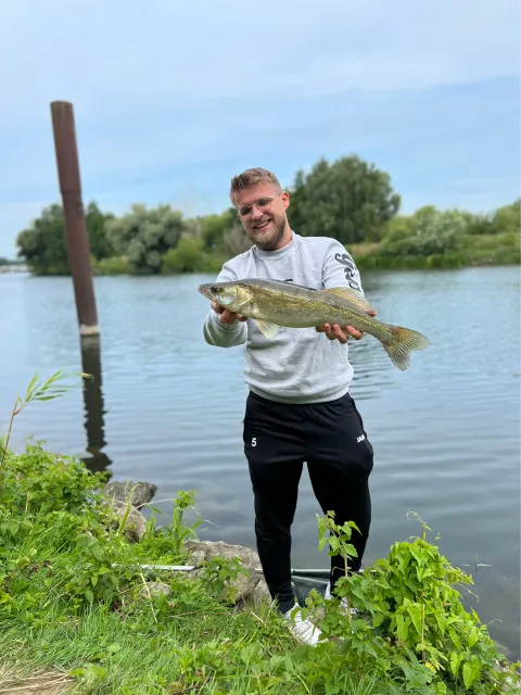 Zander