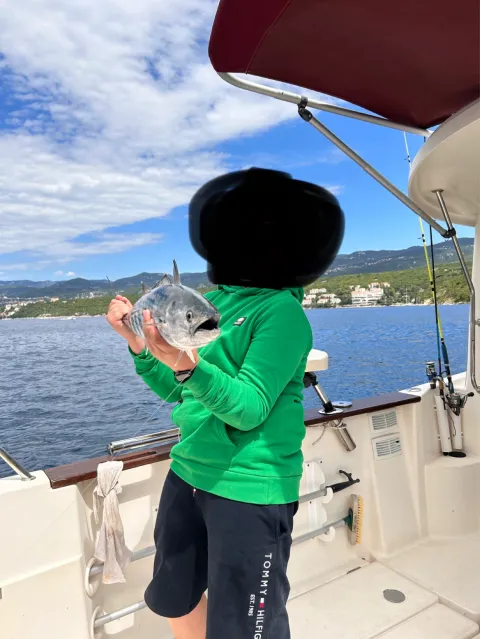 Bonito