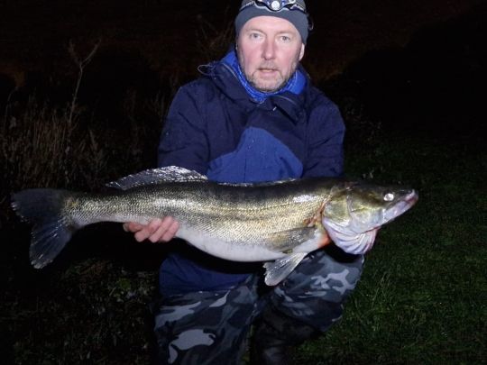 Zander