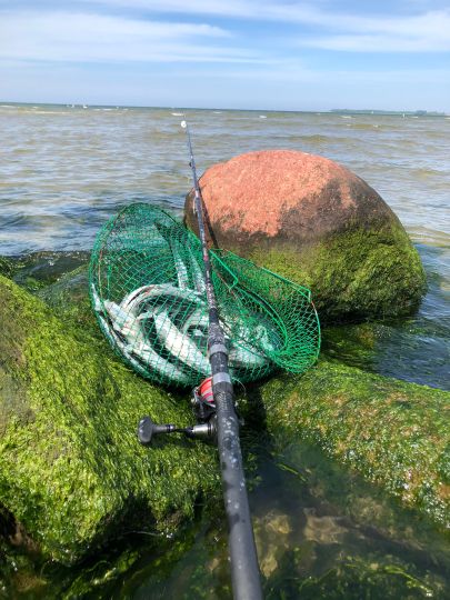 Teich am Zierower Weg (Wismar) ALLE ANGELN