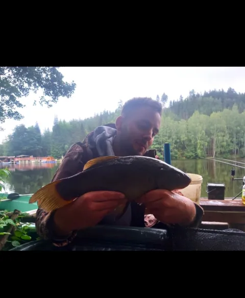 Schleie