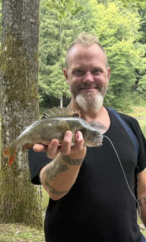 Flussbarsch