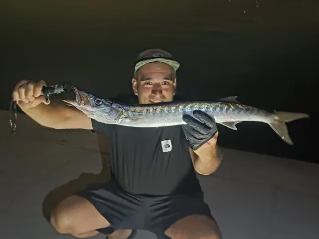 Barrakuda