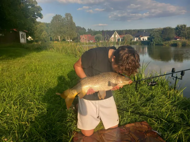 Karpfen