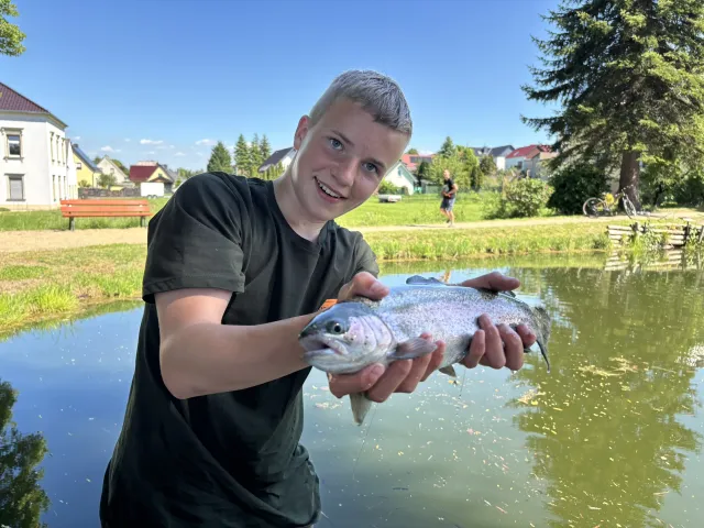 Regenbogenforelle