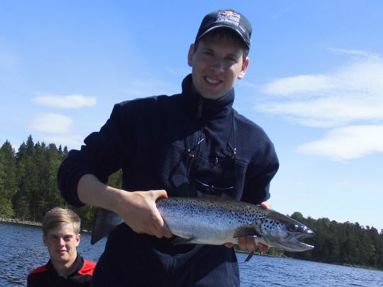 Lachs
