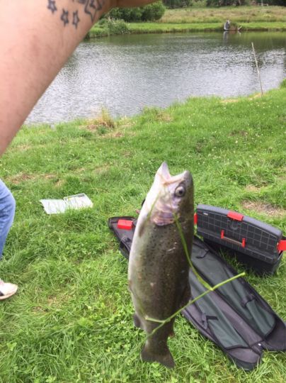 Regenbogenforelle