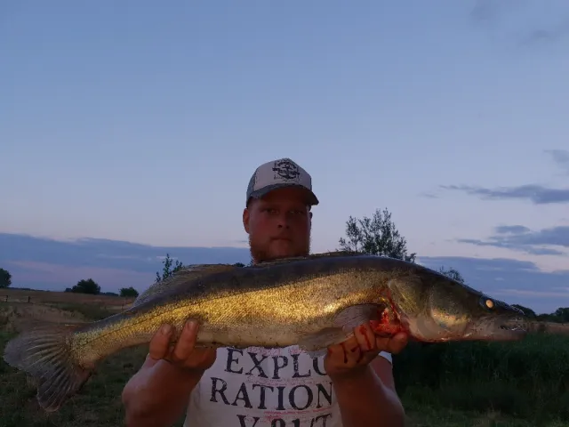Zander