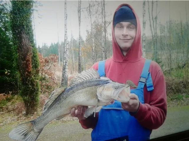 Zander