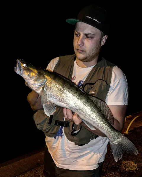 Zander