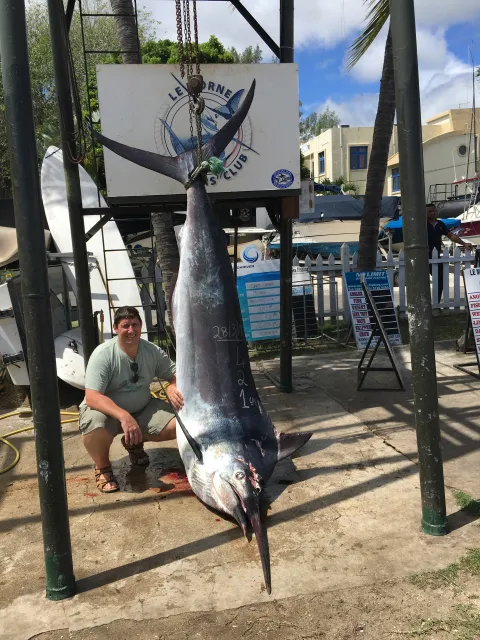 Marlin