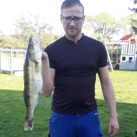 Zander