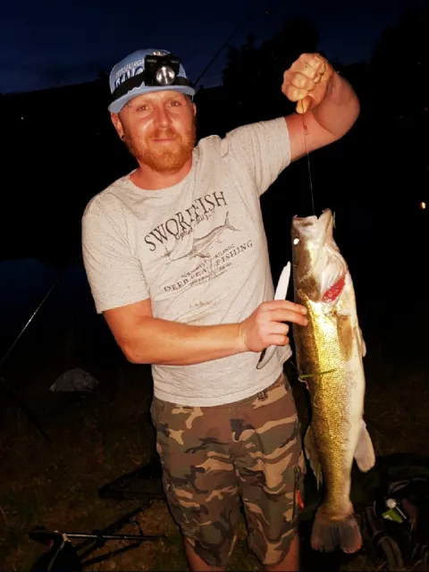 Zander