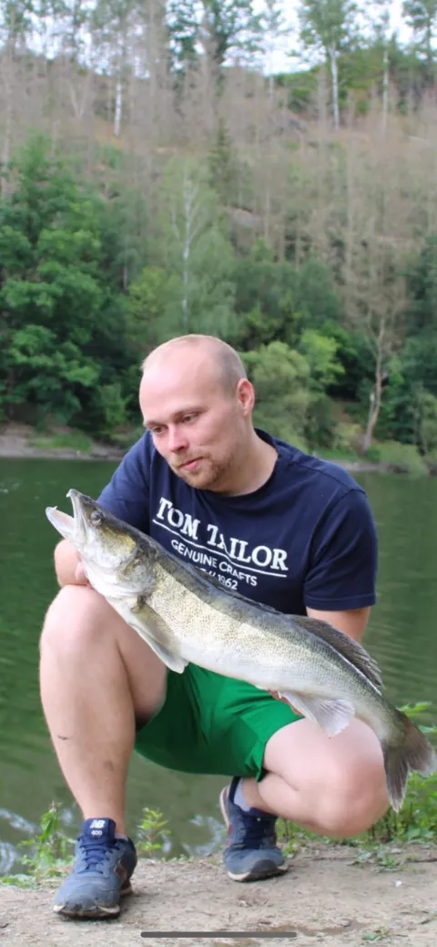 Zander