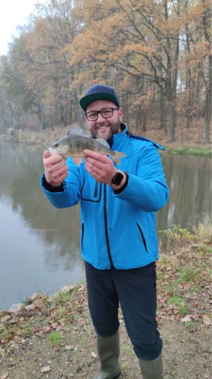 Flussbarsch